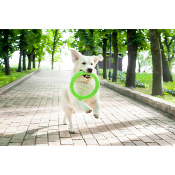 Кільце для апортировки PitchDog17 - Image 38
