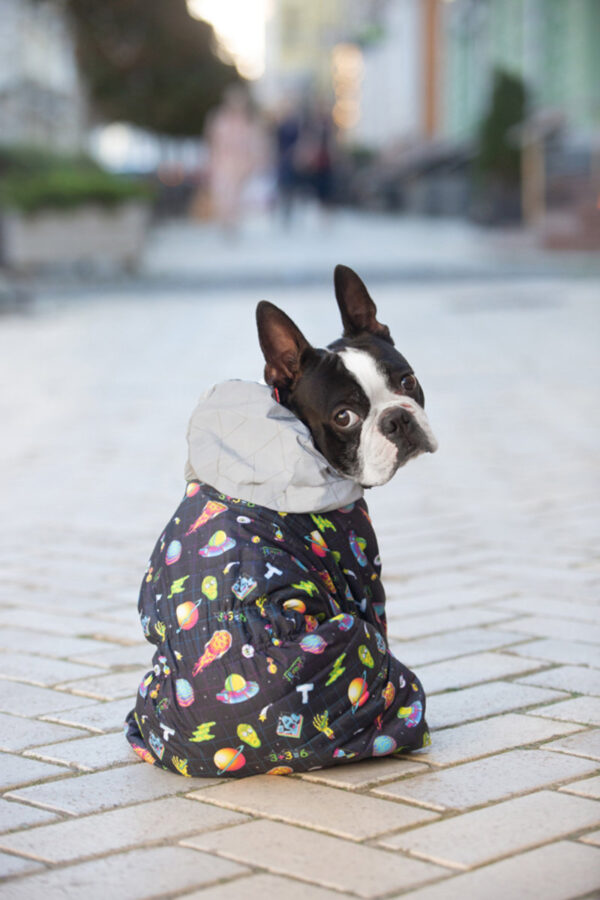 Комбінезон для собак WAUDOG Clothes малюнок "Рік та Морті 2" - Image 52