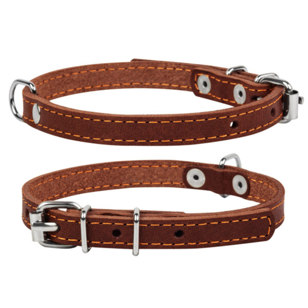 Нашийник "CoLLaR" одинарний