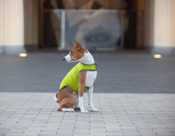 Куртка-накидка для собак AiryVest, салатовий - Image 15