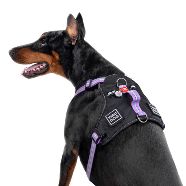 Шлея для собак безпечна WAUDOG Nylon з QR паспортом металічна пряжка-фастекс - Image 21