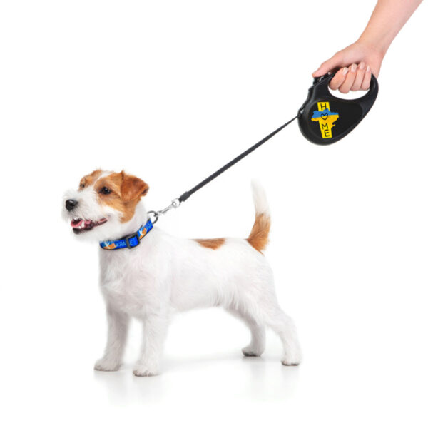 Повідець-рулетка для собак WAUDOG R-leash малюнок "Дім" - Image 22