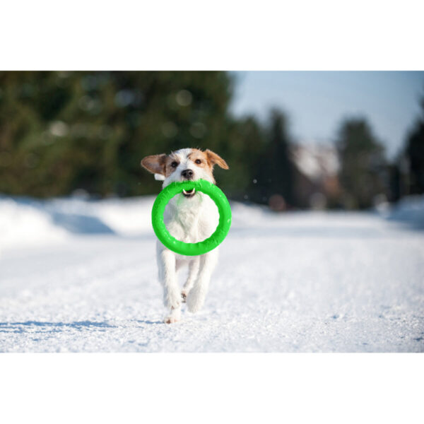 Кільце для апортировки PitchDog17 - Image 81
