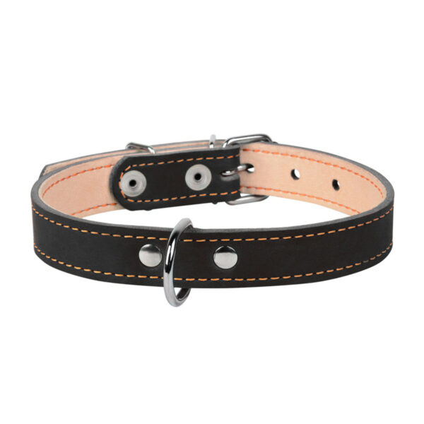 Нашийник "CoLLaR" подвійний - Image 4