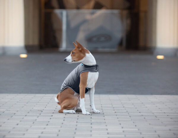 Куртка-накидка для собак AiryVest, чорний - Image 33