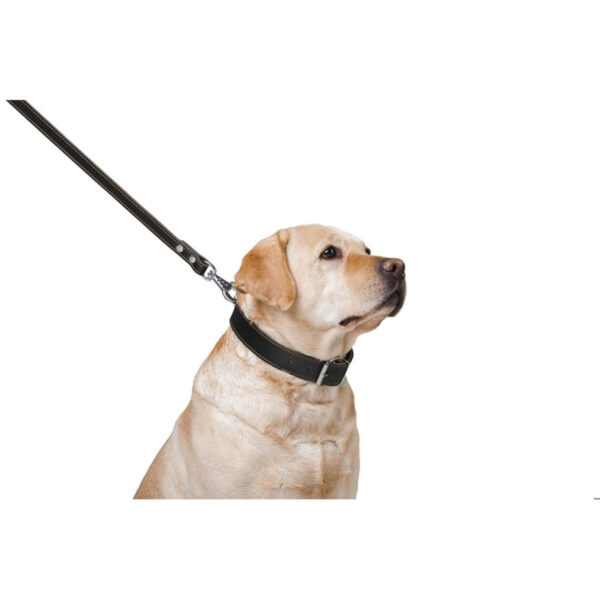 Повідець "CoLLaR" подвійний з прошивкою, чорний - Image 7