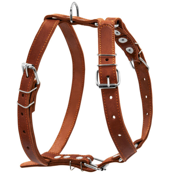 Шлея "CoLLaR" одинарна для середніх собак, ширина 25мм, А:49-68см, В:68-80см, коричневий