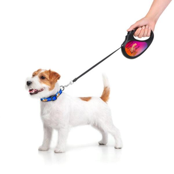 Повідець-рулетка для собак WAUDOG R-leash малюнок "Конотопські магічні війська" - Image 22