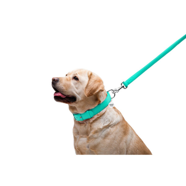 Повідець для собак шкіряний WAUDOG Glamour, ментоловий - Image 10