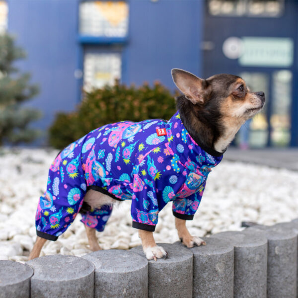 Вітровка для собак WAUDOG Clothes малюнок "Рік та Морти 1" - Image 7
