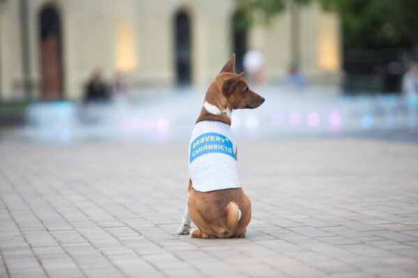 Майка для собак WAUDOG Clothes малюнок "Сміливість" - Image 26