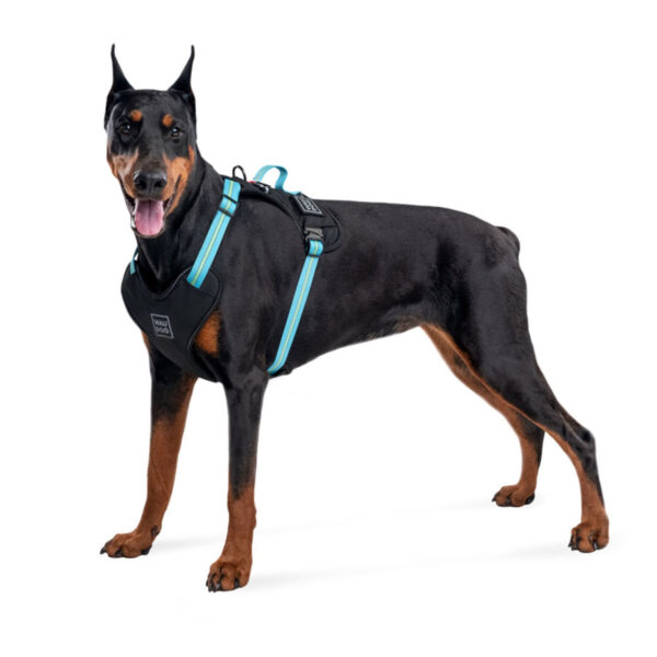Шлея для собак безпечна WAUDOG Nylon з QR паспортом металічна пряжка-фастекс - Image 15