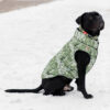 Курточка для собак WAUDOG Clothes малюнок "Мілітарі" - Image 15