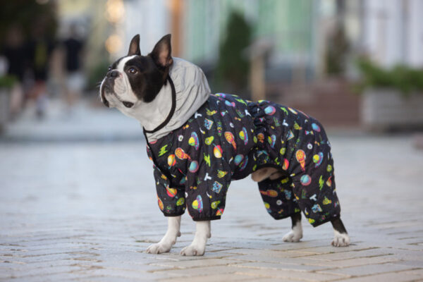 Комбінезон для собак WAUDOG Clothes малюнок "Рік та Морті 2" - Image 54
