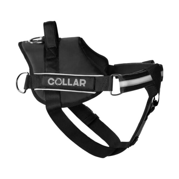 Шлея "Dog Extreme" "POLICE" №4 з ліхтариком, В:70-100см, чорний - Image 2