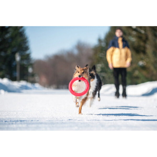 Кільце для апортировки PitchDog17 - Image 72