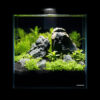 Комплект Pico Set 5 літрів - Image 4