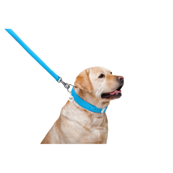Повідець для собак шкіряний WAUDOG Glamour, блакитний - Image 9