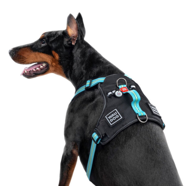 Шлея для собак безпечна WAUDOG Nylon з QR паспортом металічна пряжка-фастекс - Image 6