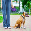 Повідець-рулетка для собак WAUDOG R-leash з контейнером для пакетів світловідбивна стрічка - Image 38