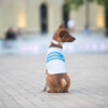 Майка для собак WAUDOG Clothes малюнок "Сміливість" - Image 13