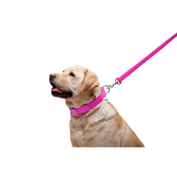 Повідець для собак шкіряний WAUDOG Glamour, рожевий - Image 10