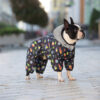 Комбінезон для собак WAUDOG Clothes малюнок "Рік та Морті 2" - Image 51