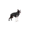 Курточка для собак AiryVest ONE, чорний - Image 11