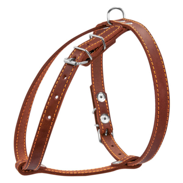Шлея "CoLLaR" одинарна для малих порід собак, ширина 14мм, А:40-48см, В:43-51см, коричневий - Image 2