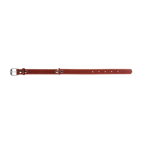 Нашийник "CoLLaR" одинарний - Image 15