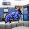 Вітровка для собак WAUDOG Clothes малюнок "Рік та Морти 1" - Image 13