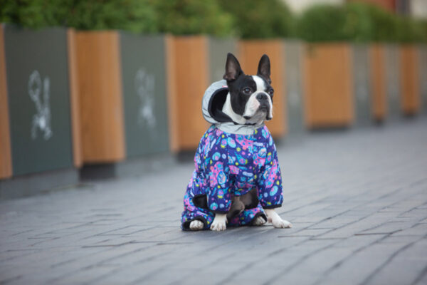 Комбінезон для собак WAUDOG Clothes малюнок "Рік та Морті 1" - Image 44