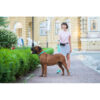 Повідець для собак водостійкий WAUDOG Waterproof, ментоловий - Image 9