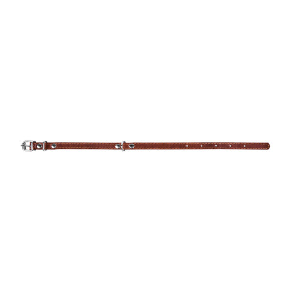 Нашийник "CoLLaR" одинарний - Image 7