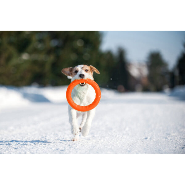 Кільце для апортировки PitchDog17 - Image 27