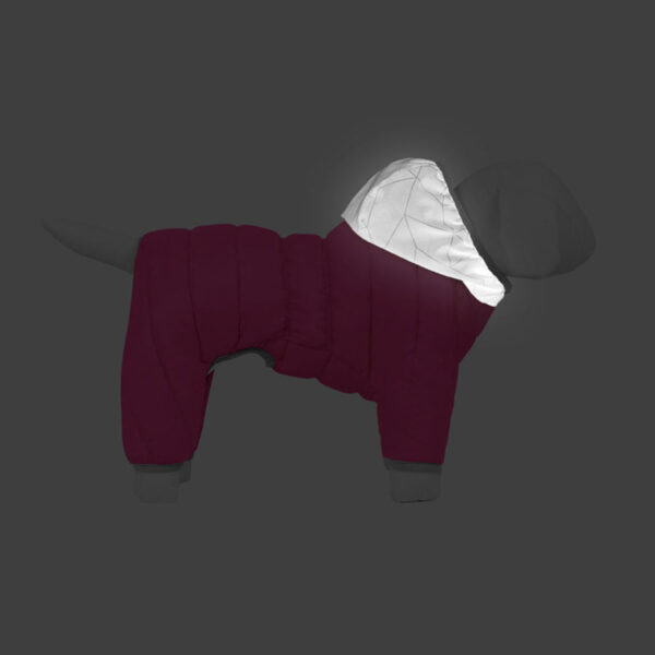 Комбінезон для собак AiryVest ONE, розмір XS - Image 37