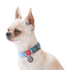 Нашийник WAUDOG Re-cotton з QR паспортом - Image 8