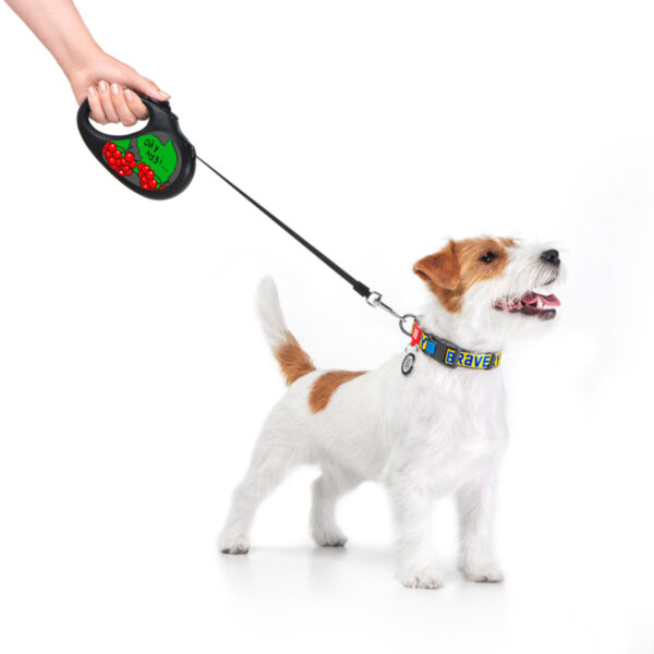 Повідець-рулетка для собак WAUDOG R-leash малюнок "Калина" - Image 10