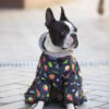 Комбінезон для собак WAUDOG Clothes малюнок "Рік та Морті 2" - Image 60