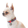 Нашийник для собак нейлоновий WAUDOG Nylon з QR паспортом малюнок "Лінія 1" - Image 12
