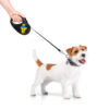 Повідець-рулетка для собак WAUDOG R-leash малюнок "Дім" - Image 12