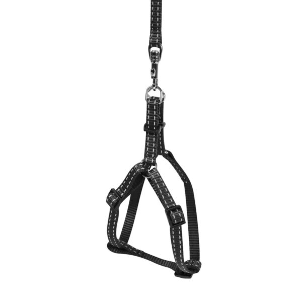 Шлея "Dog Extreme" з нейлону регульована з повідцем - Image 7