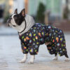 Комбінезон для собак WAUDOG Clothes малюнок "Рік та Морті 2" - Image 41