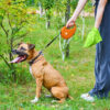 Повідець-рулетка для собак WAUDOG R-leash з контейнером для пакетів світловідбивна стрічка - Image 24