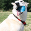Cheerble Wicked Blue Ball Cyclone - Інтерактивний м'яч для собак, синій - Image 3