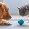 Cheerble Wicked Yellow Ball - Інтерактивний м'яч для собак та котів - Image 2