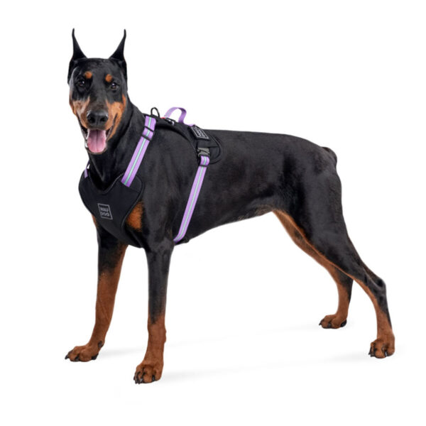 Шлея для собак безпечна WAUDOG Nylon з QR паспортом металічна пряжка-фастекс - Image 10