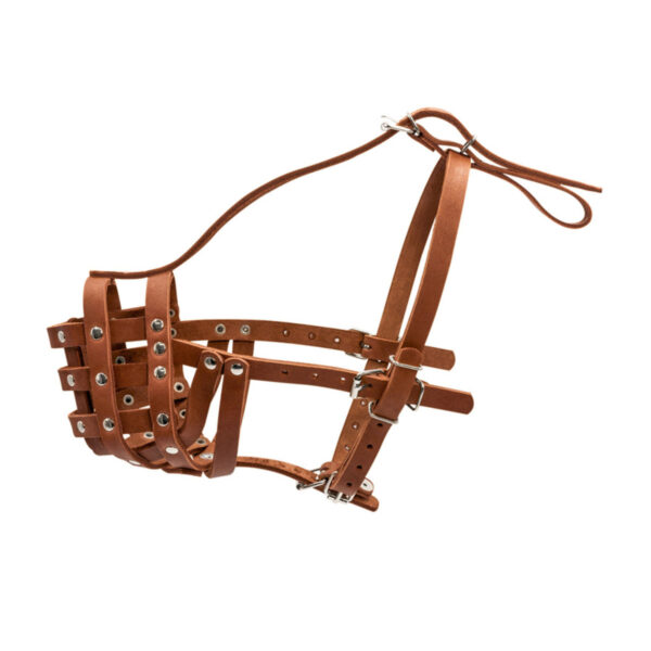 Намордник твердий "CoLLaR", мастино, бульмастиф, ротвейлер великий коричневий - Image 3