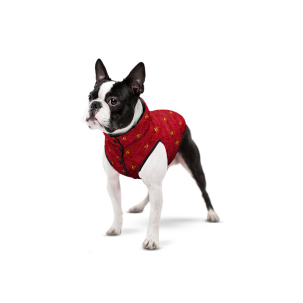 Курточка для собак WAUDOG Clothes з малюнком "Супермен червоний" - Image 21
