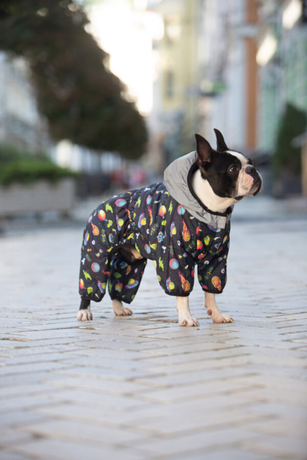 Комбінезон для собак WAUDOG Clothes малюнок "Рік та Морті 2" - Image 58